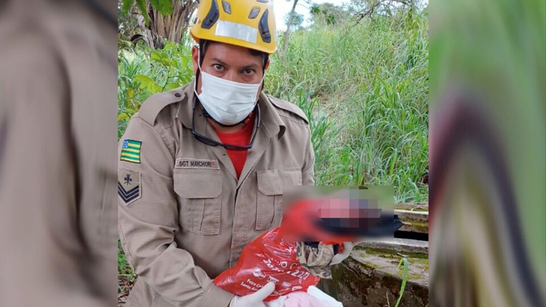 Bombeiro com criança no colo