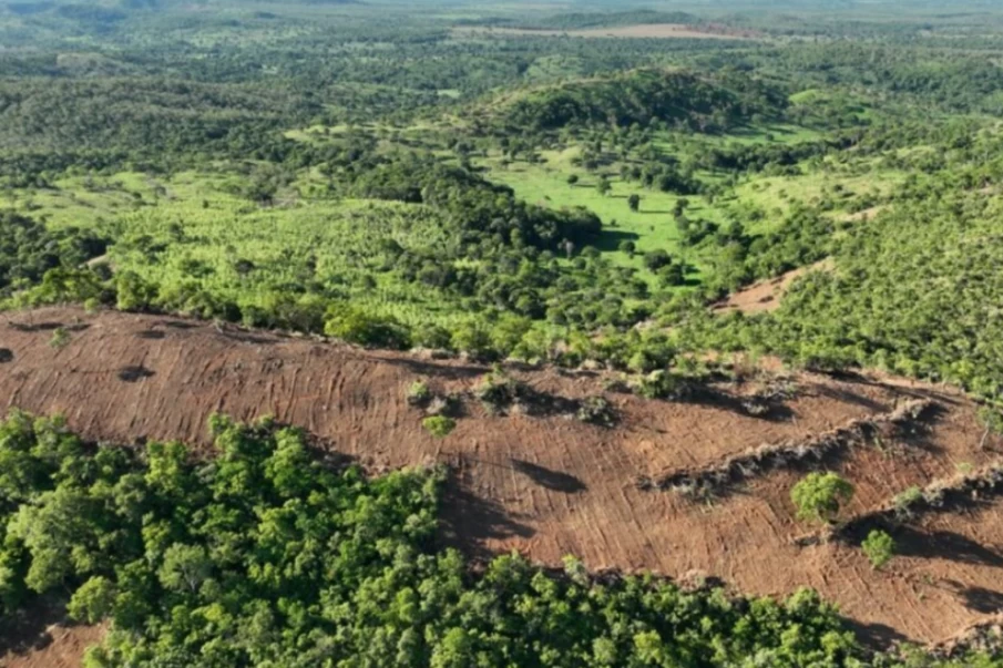 Desmatamento em Goiás: recuo inédito (Foto: Divulgação)