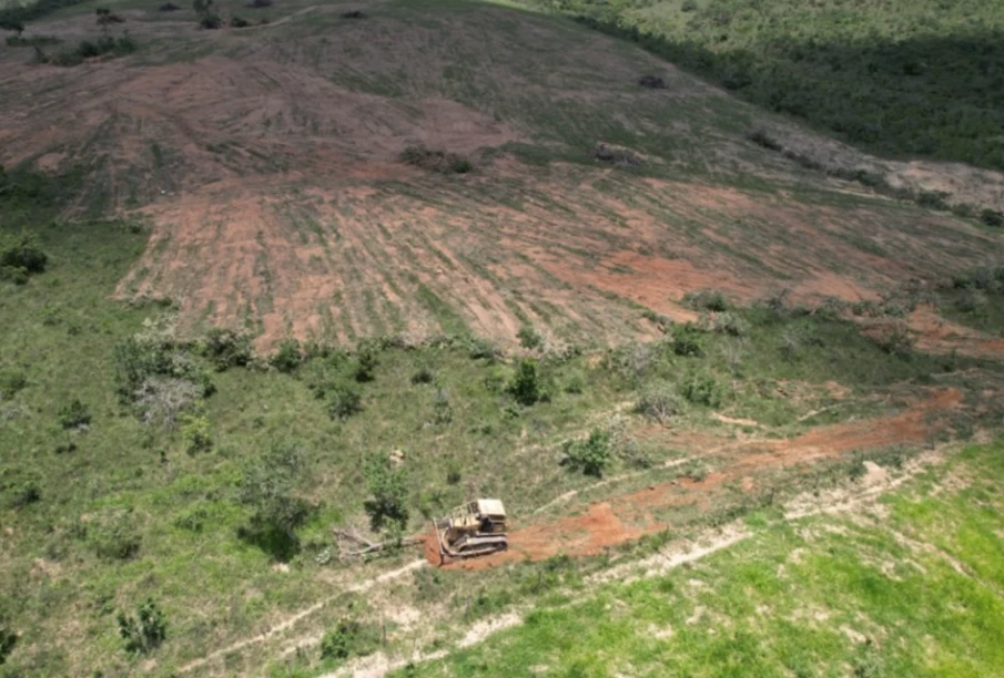 https://www.cdn.goiascapital.com/images/Flagrante de desmatamento em Abadiânia (Foto: Divulgação)