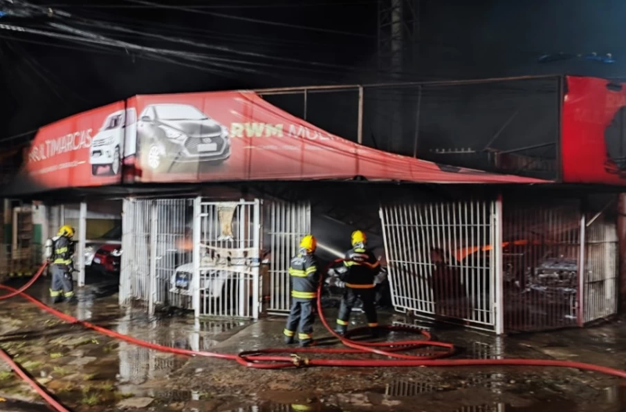 Garagem com aproximadamente 17 carros pega fogo (Foto: CBMGO)