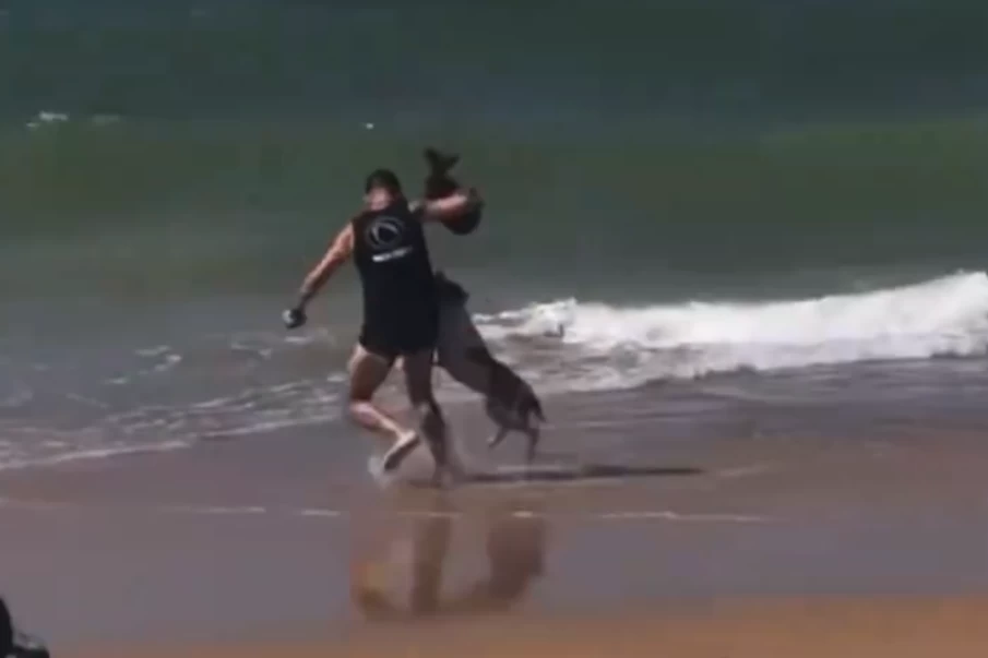 Homem se joga ao mar para se salvar de pitbull (Foto: Reprodução)