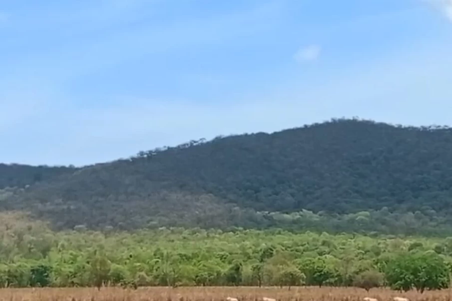 Homens ficam perdidos por 8h em mata fechada em Minaçu (Foto: Reprodução - PRF)